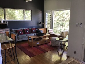 TV, DVD player, books, video library