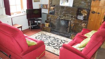 Smart TV, chimenea, reproductor de DVD y libros
