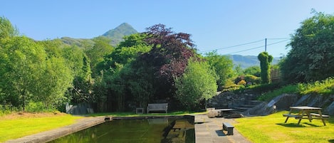Alberca