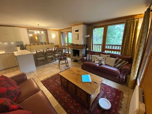 TV, fireplace, DVD player, books