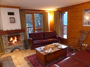 TV, fireplace, DVD player, books