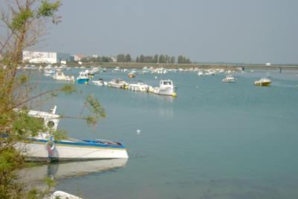 petit port saint gilles croix de vie
