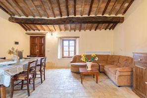 Smart TV, chimenea y libros 