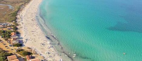 بالقرب من الشاطئ