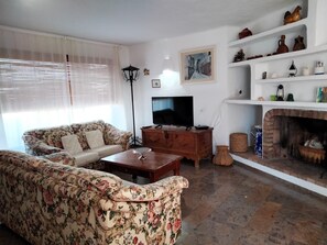TV, fireplace