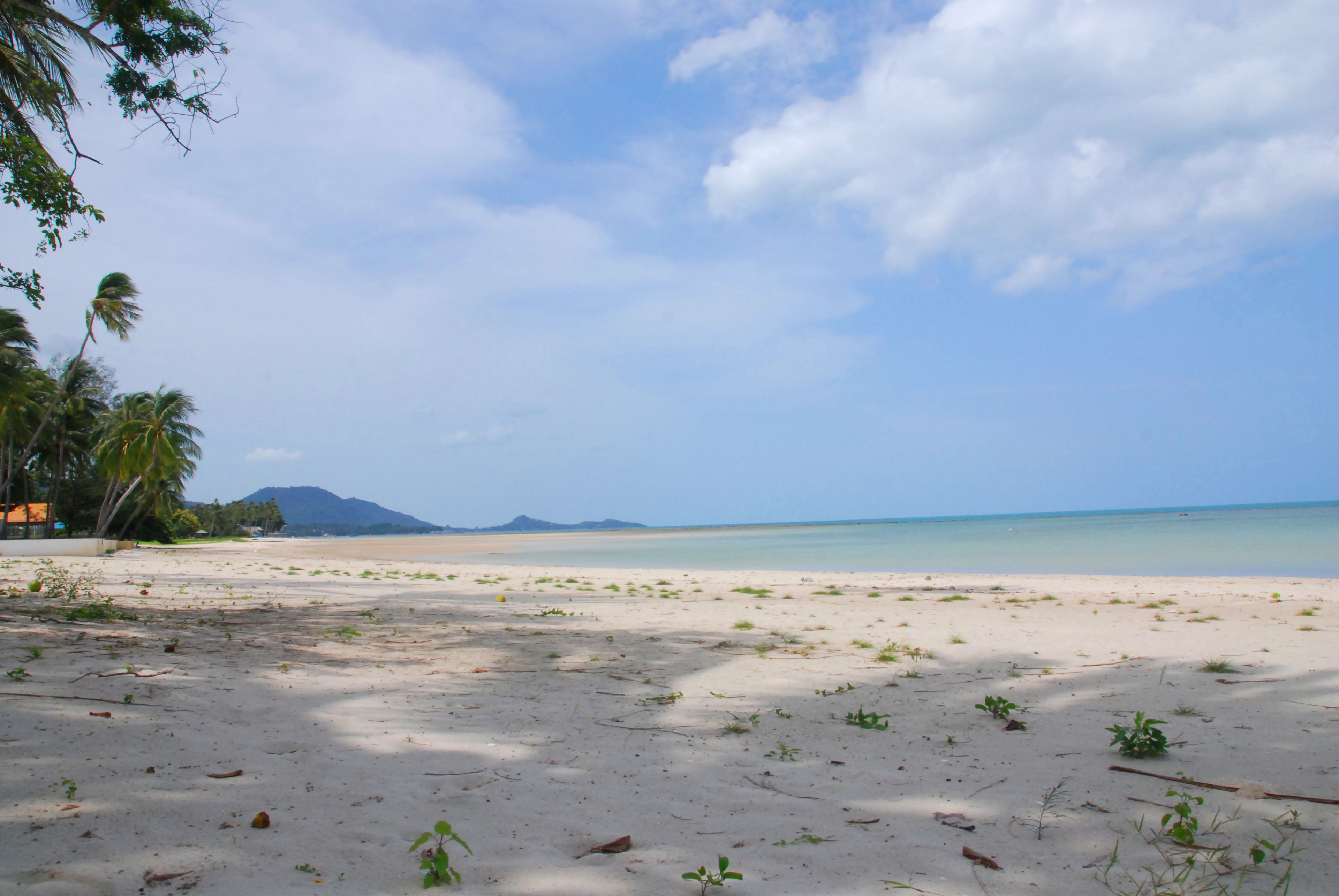 Foto - Laura's Guest House-adult only-