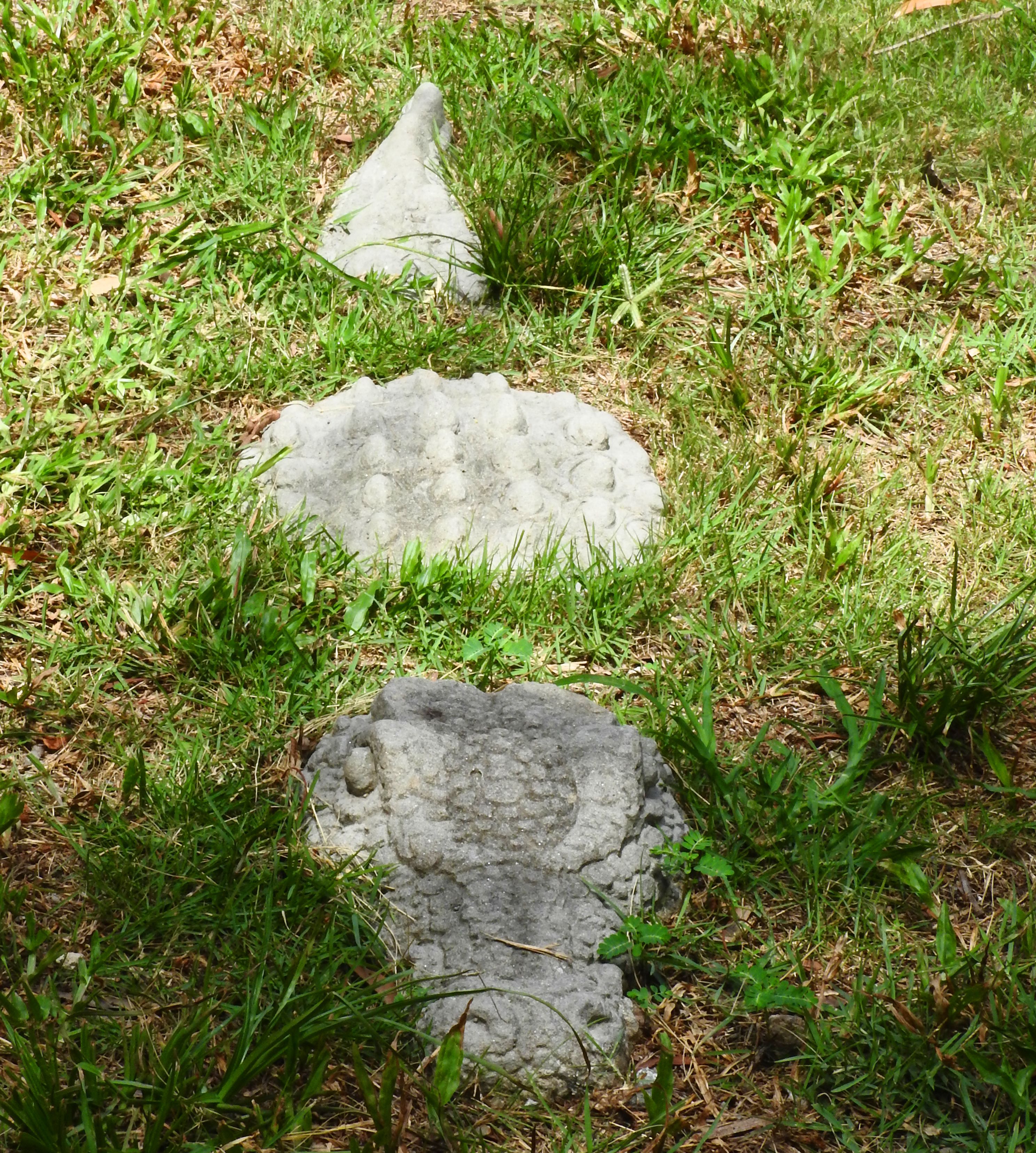 Foto - Laura's Guest House-adult only-