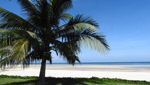 Bãi biển