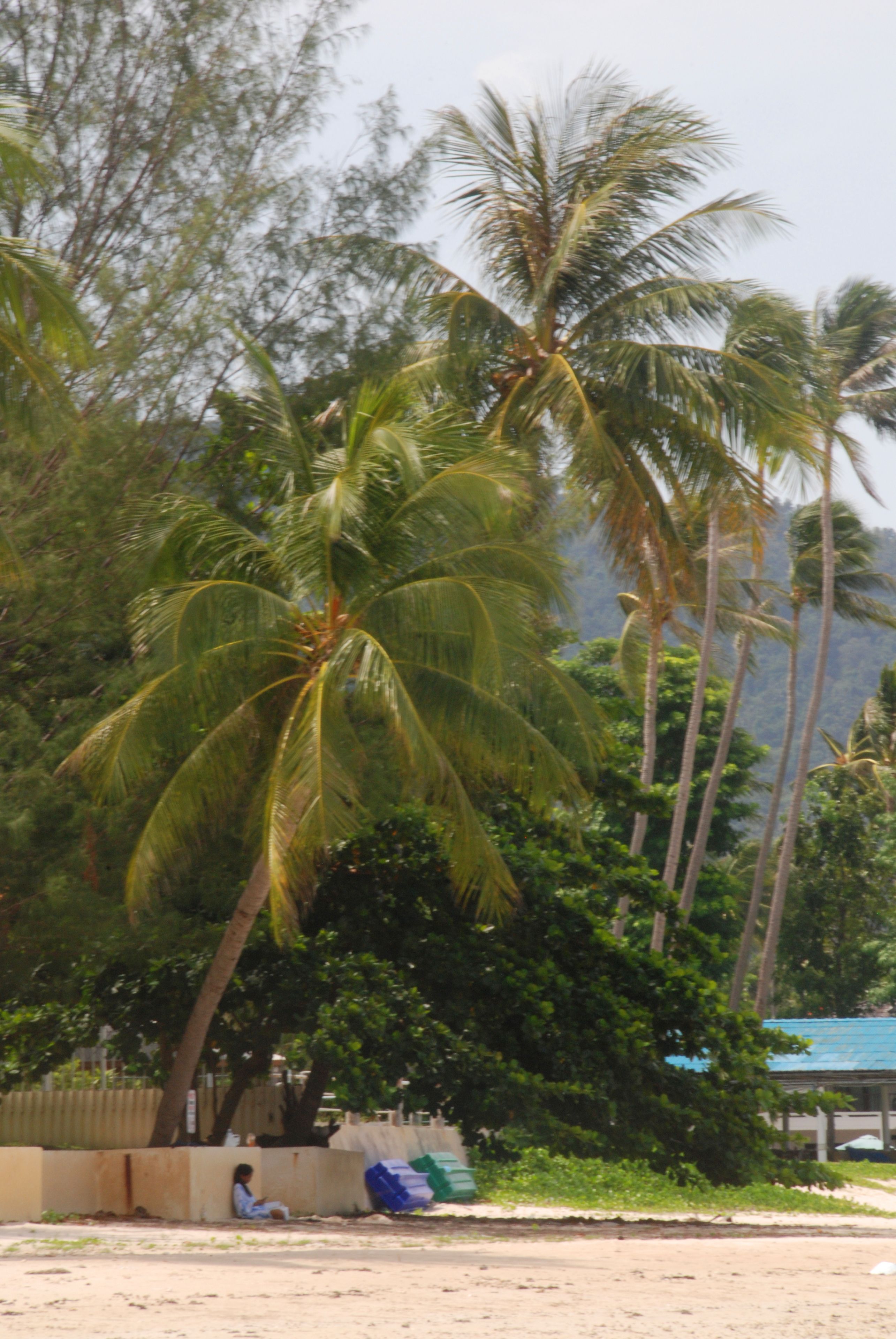 Foto - Laura's Guest House-adult only-