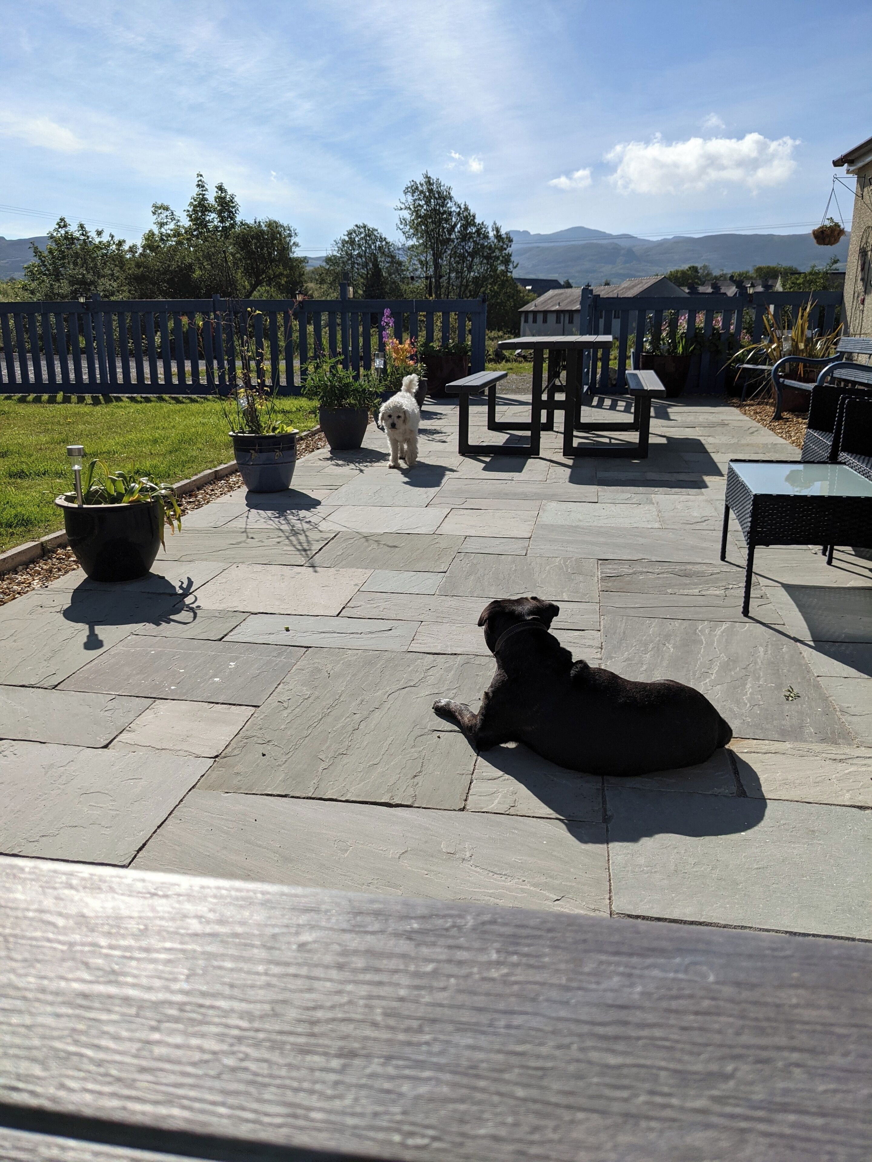 Terrace/patio