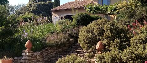 Jardines del alojamiento