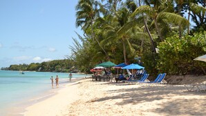 Una playa con palmeras, una orilla arenosa y algunos sombrillas y sillones de playa.
