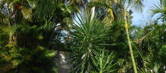 Le Diamant - Charming villa, private pool and tropical garden 300m from the sea
