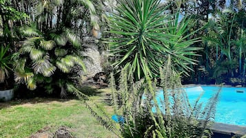 Piscina externa