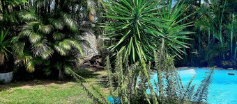 Le Diamant - Charming villa, private pool and tropical garden 300m from the sea