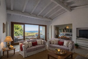TV, fireplace, books