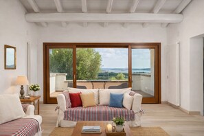 TV, fireplace, books - Large villa with private pool, surrounded by greenery, sea view - Costa Smeralda (Porto Rotondo)