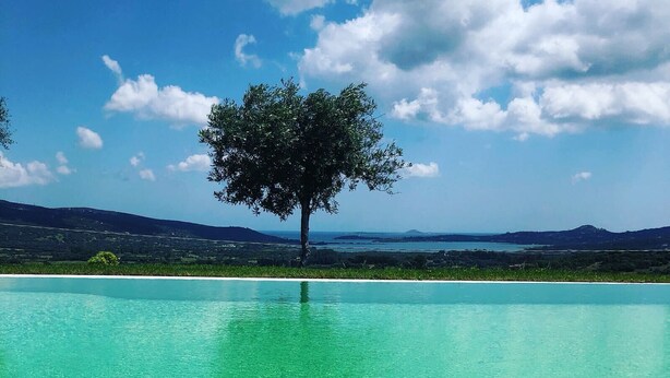 Une piscine aux eaux cristallines, avec un arbre au centre et une vue sur des collines lointaines.