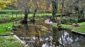 Un parco con un piccolo ruscello, un ponte di legno e un tavolo da picnic.