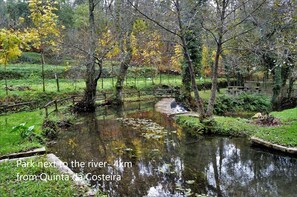 Property grounds - Casa do Ribeiro / Quinta da Costeira AL 80 388 Complete rental with pool. (Sever do Vouga)