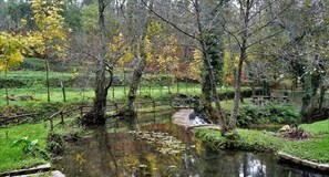A park with a small stream, a wooden bridge, and a picnic table.