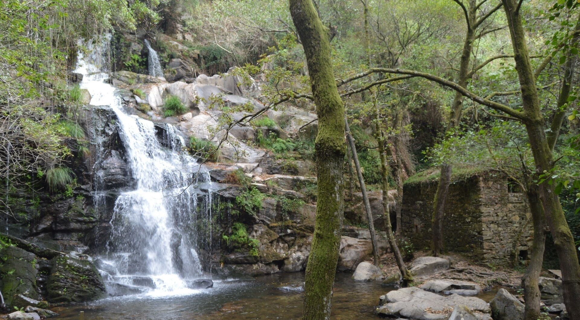 A waterfall in a forested area with rocky terrain and trees.