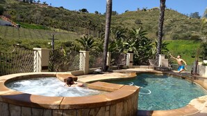 A hot tub area with a pool, surrounded by palm trees and a hilly landscape. - Sunshine Mountain Bed and Breakfast (San Marcos)