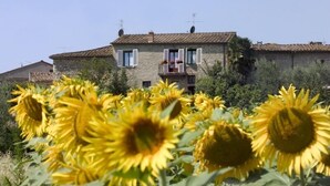 A stone building with a tiled roof, a balcony with potted plants, and a garden with sunflowers.