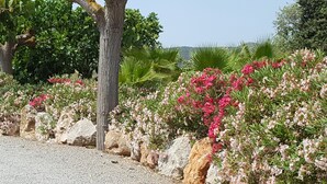 Un jardín con plantas florecientes y rocas a lo largo de un camino de grava.