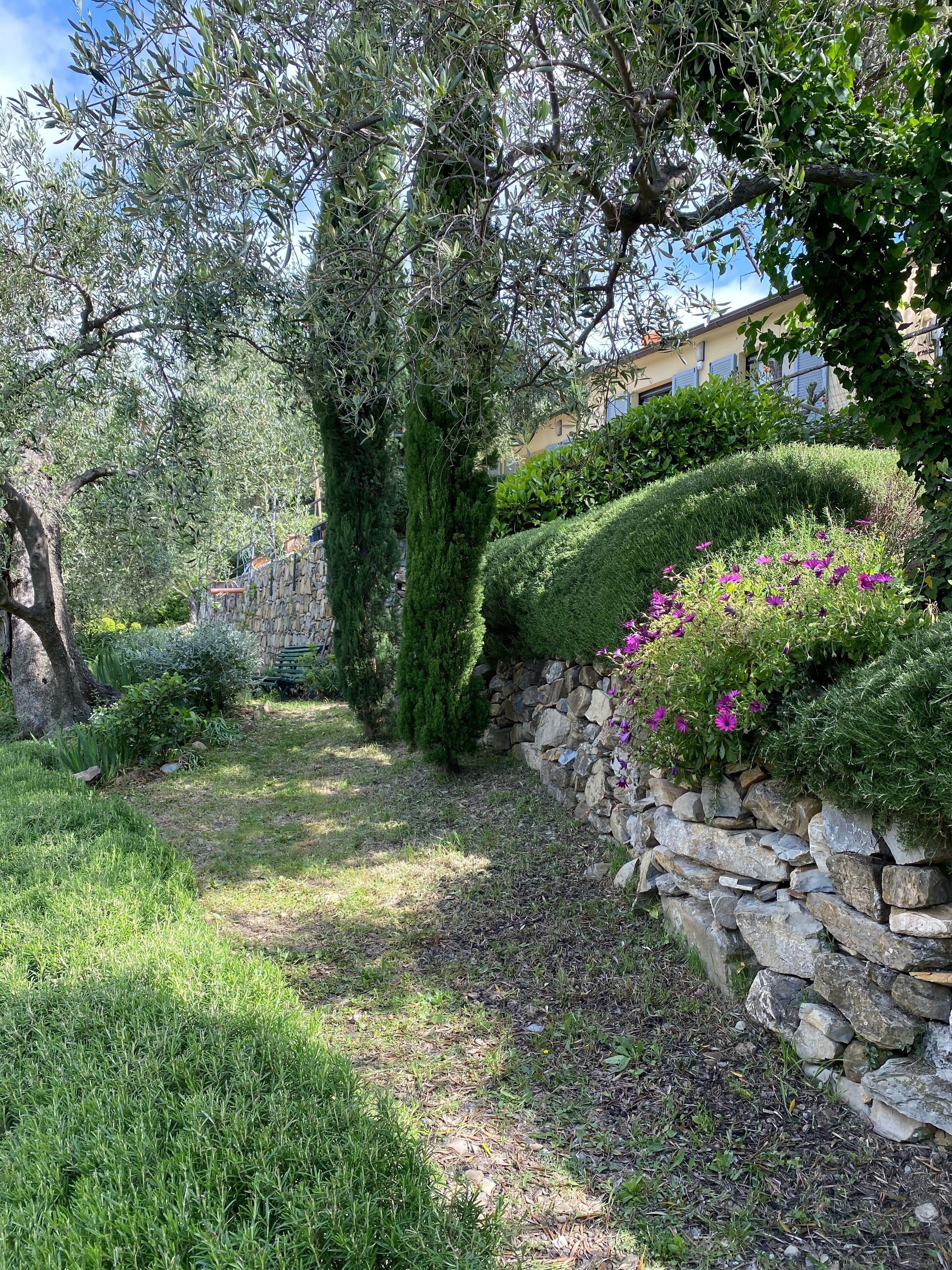A garden with a stone wall, various plants, and a building in the background.