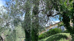 A garden with a stone wall, various plants, and a building in the background. - Idyllically situated, comfortable detached country house in a stylish ambience (Dolcedo)