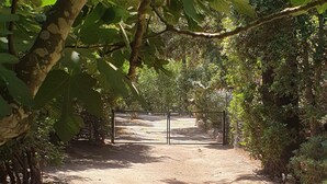 Un sentier menant à une porte sur laquelle est apposée une pancarte, le tout dans un cadre naturel.
