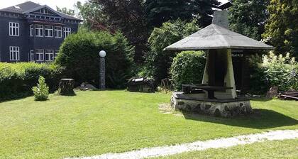 Modernly furnished bungalow with fireplace, surrounded by greenery.