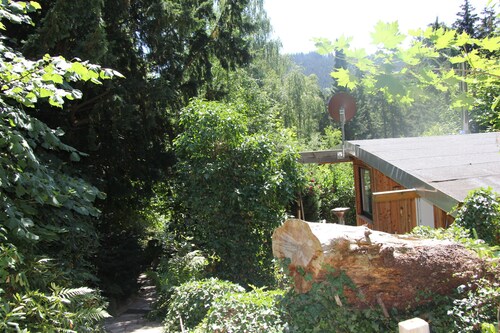 Modernly furnished bungalow with fireplace, surrounded by greenery.