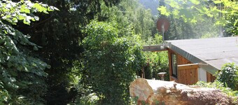 Modernly furnished bungalow with fireplace, surrounded by greenery.