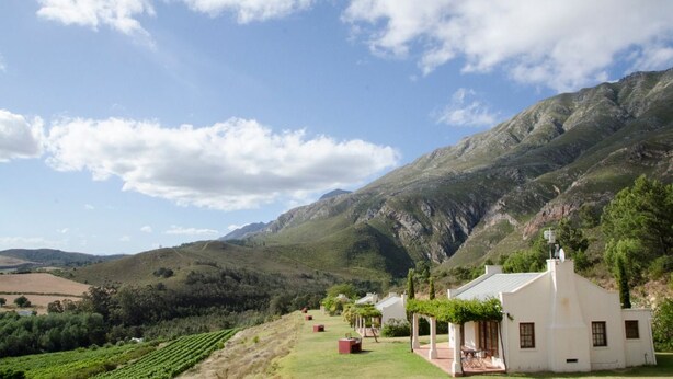 A white building with a garden and vineyard in the background. - Bushmanspad Estate (Boesmanspad)