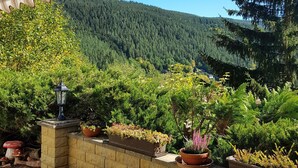 Property grounds - On the edge of the forest with a beautiful panoramic view of 2 valleys (Unterweißbach)