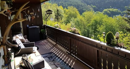 On the edge of the forest with a beautiful panoramic view of 2 valleys