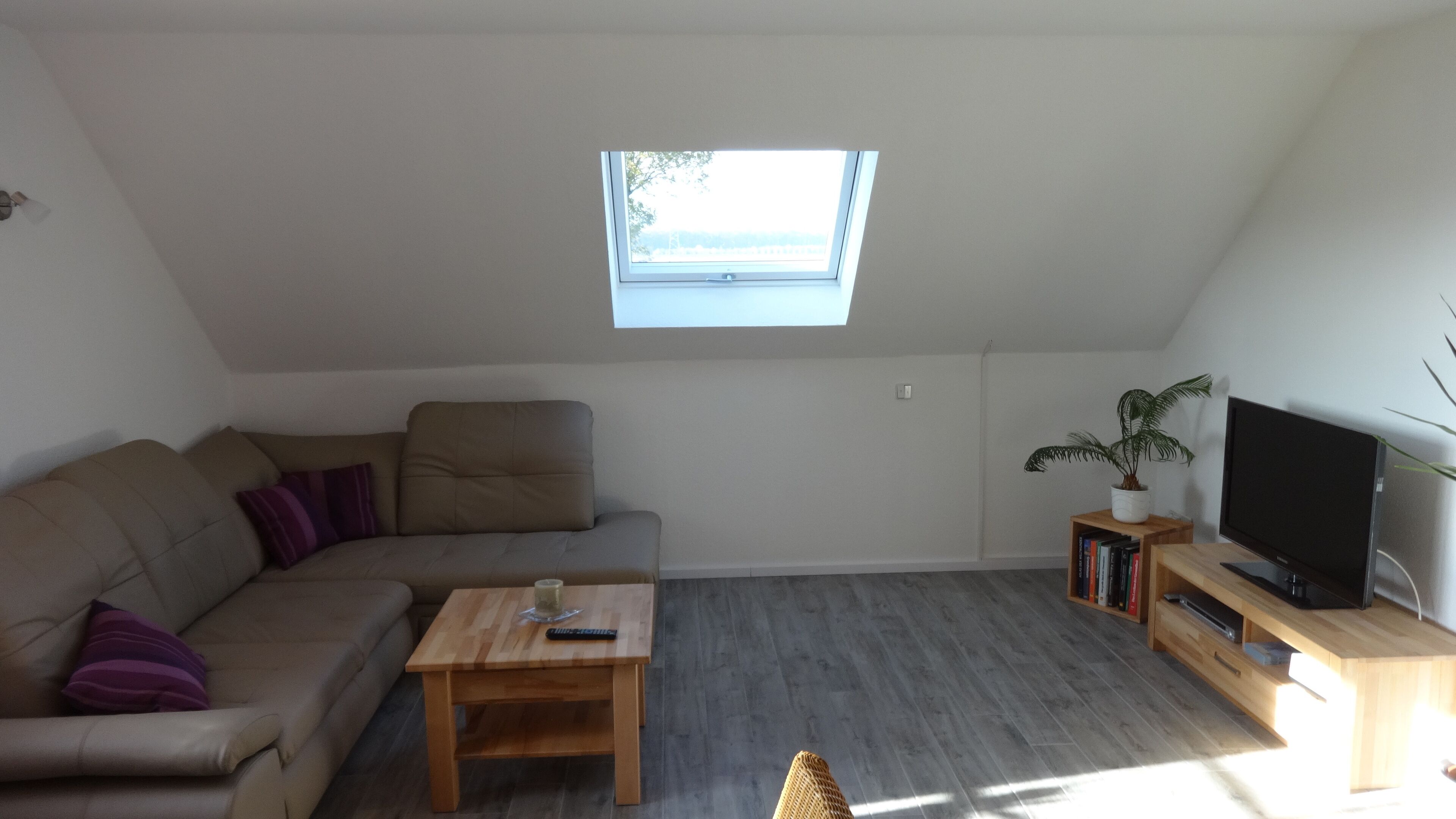 TV, DVD player, books, music library