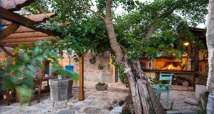 Ylellinen kivihuvila uima-altaalla