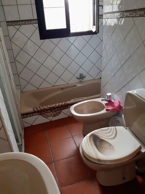 Tina, secadora de cabello, bidet, toallas 