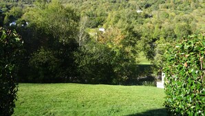 Un campo verde exuberante con un bosque denso y una montaña al fondo.