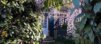 Appartement Côte Fleurie
