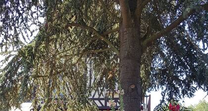 Appartement CĂŽte Fleurie