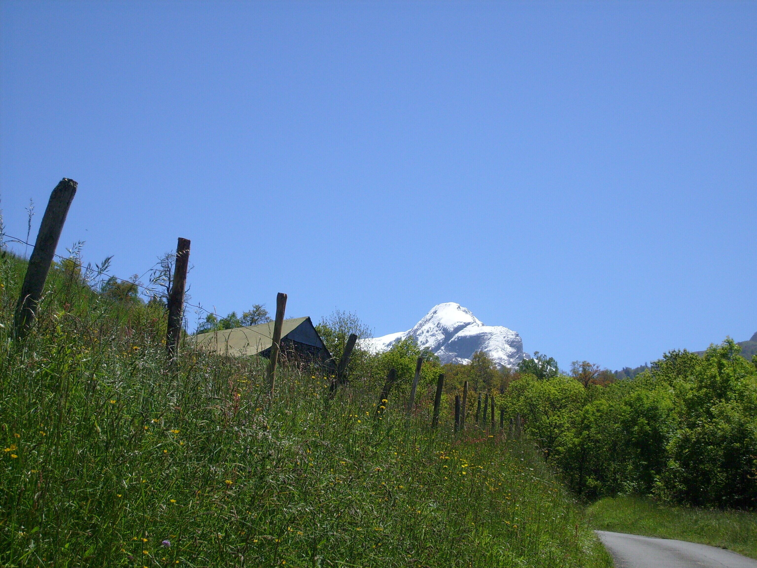 A rural road with a house and a snow-capped mountain in the background.