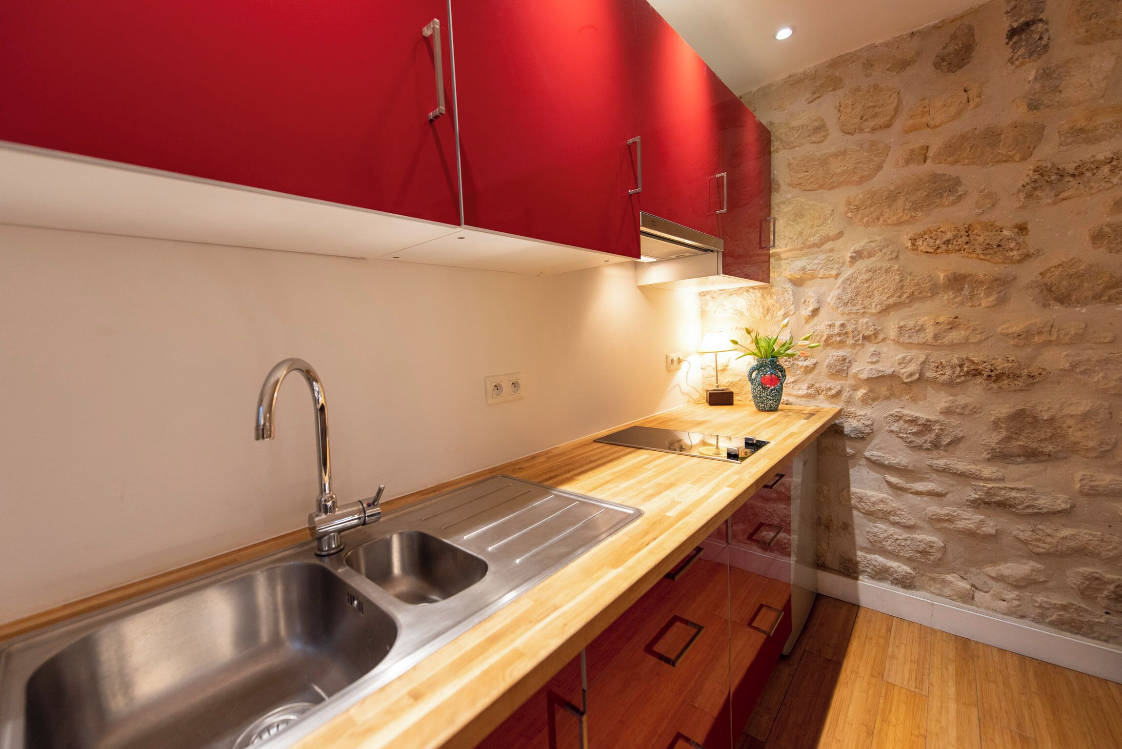 Une cuisine moderne avec un évier à deux bacs, des armoires rouges, un mur en pierre et une petite plante en pot.