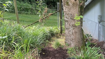 Enceinte de lâhĂ©bergement