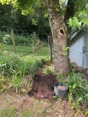 Enceinte de l’hébergement