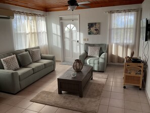 TV, DVD player, books, video library