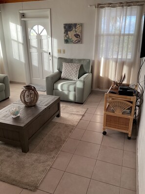 TV, DVD player, books, video library